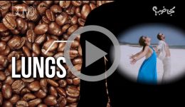 What Coffee Does To Your Body