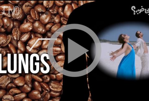 What Coffee Does To Your Body