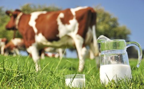 the-pros-and-cons-to-drinking-raw-milk