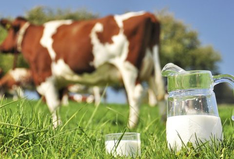the-pros-and-cons-to-drinking-raw-milk